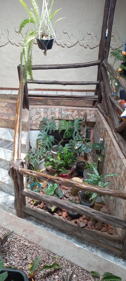 לנסויס Hostel Casa Latina מראה חיצוני תמונה