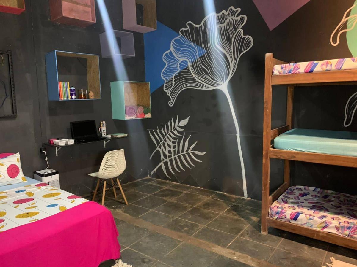 לנסויס Hostel Casa Latina מראה חיצוני תמונה