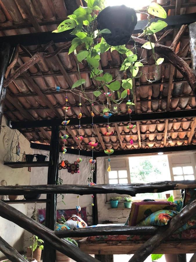 לנסויס Hostel Casa Latina מראה חיצוני תמונה